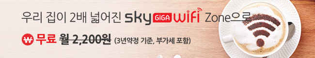 KT스카이라이프 skylife GiGA Wifi 가입 (3년약정)